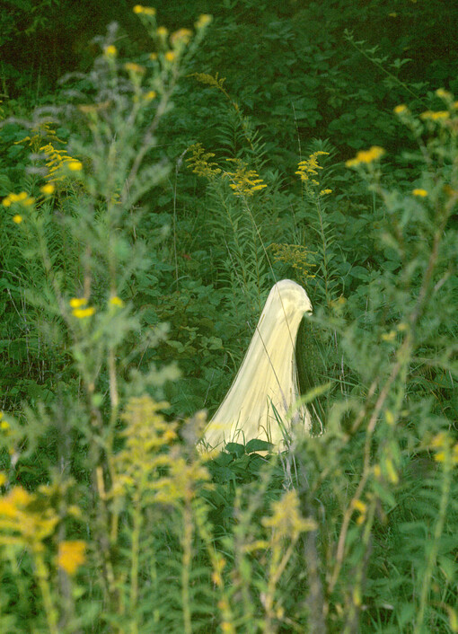 Terra Alba : nová vlna českého porcelánu = new wave of Czech porcelain