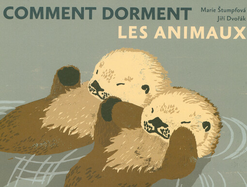 Comment dorment les animaux