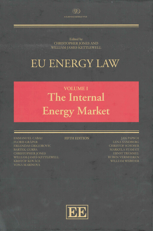 The internal energy market