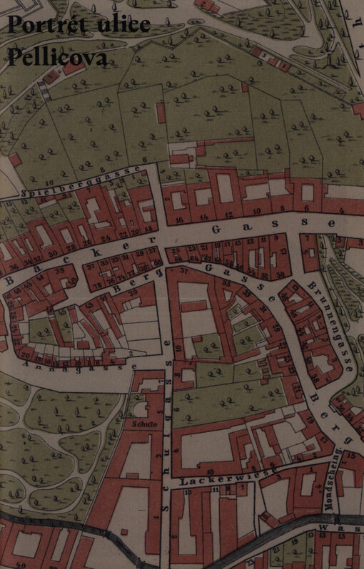 Portrét ulice Pellicova