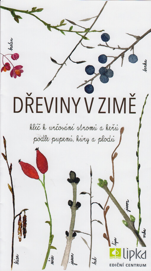 Dřeviny v zimě : klíč k určování stromů a keřů podle pupenů, kůry a plodů