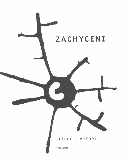 Zachyceni