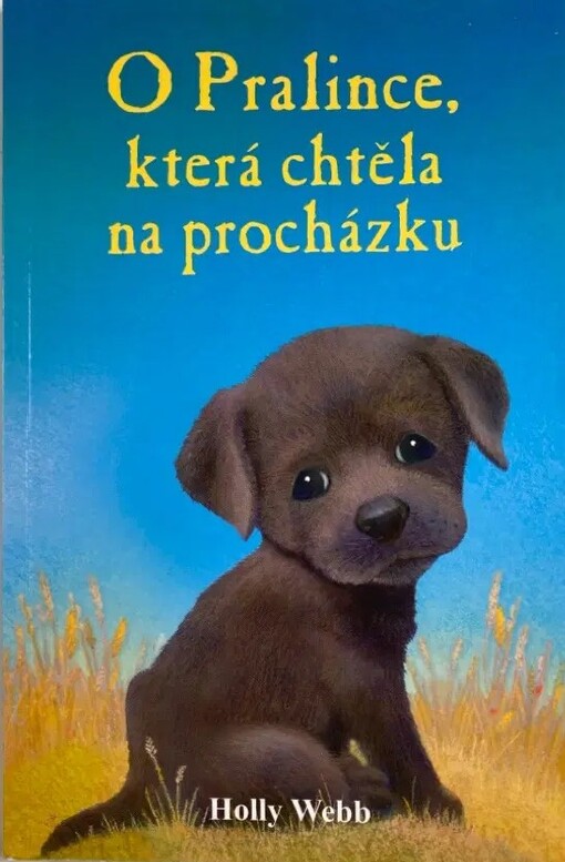 O Pralince, která chtěla na procházku