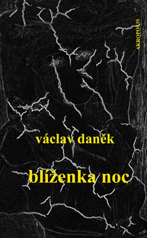 Blíženka Noc