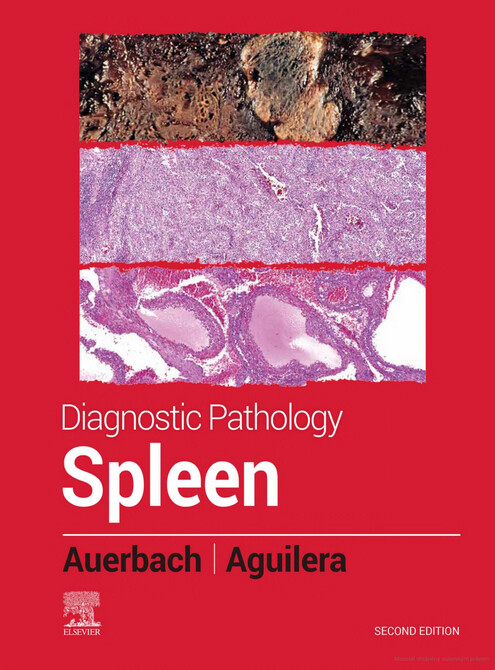 Diagnostic pathology : spleen