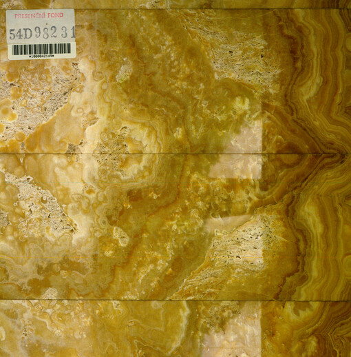 The villa of the Tugendhats created by Ludwig Mies van der Rohe in Brno