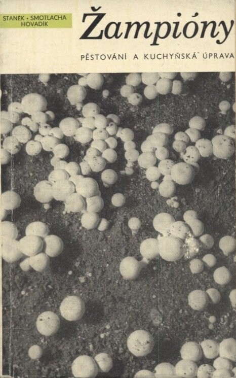 Žampióny :Pěstování a kuchyňská úprava