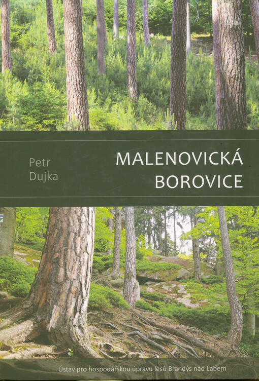 Malenovická borovice : regionální populace borovice lesní (Pinus sylvestris L.)