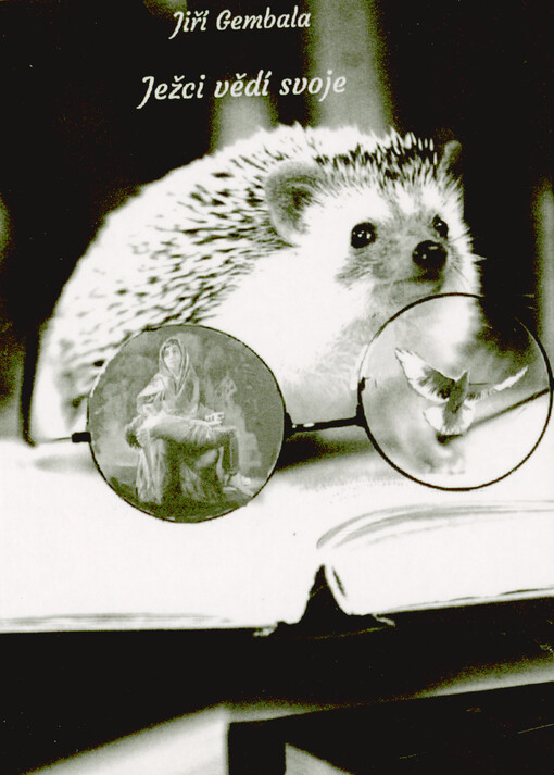 Ježci vědí svoje