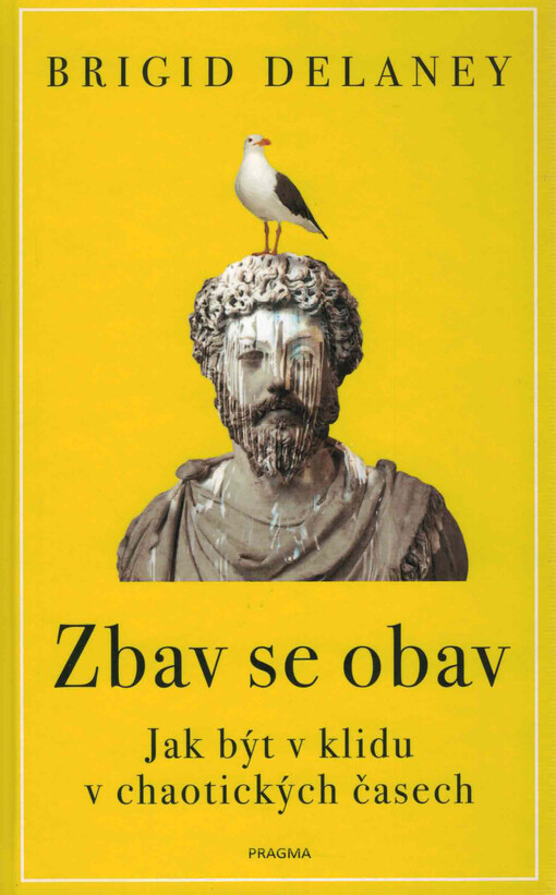 Zbav se obav : jak být v klidu v chaotických časech