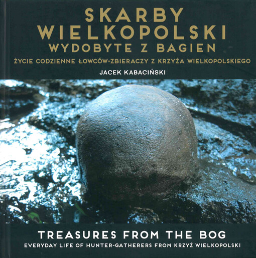 Skarby wielkopolski wydobyte z bagien