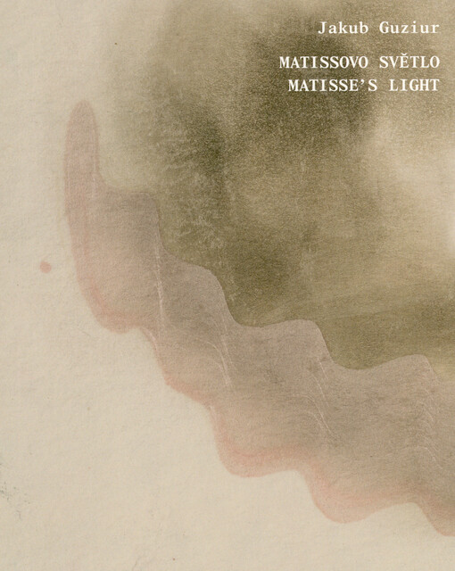 Matissovo světlo =Matisse's light