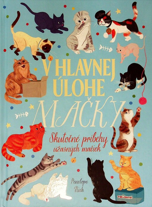 V hlavnej úlohe mačky