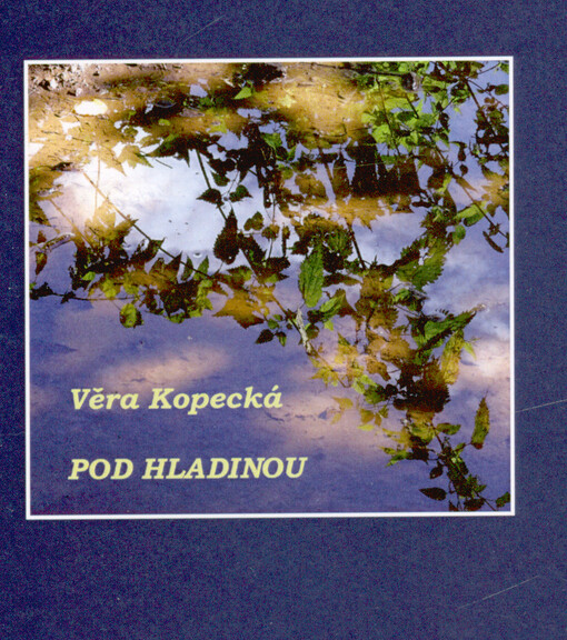 Pod hladinou
