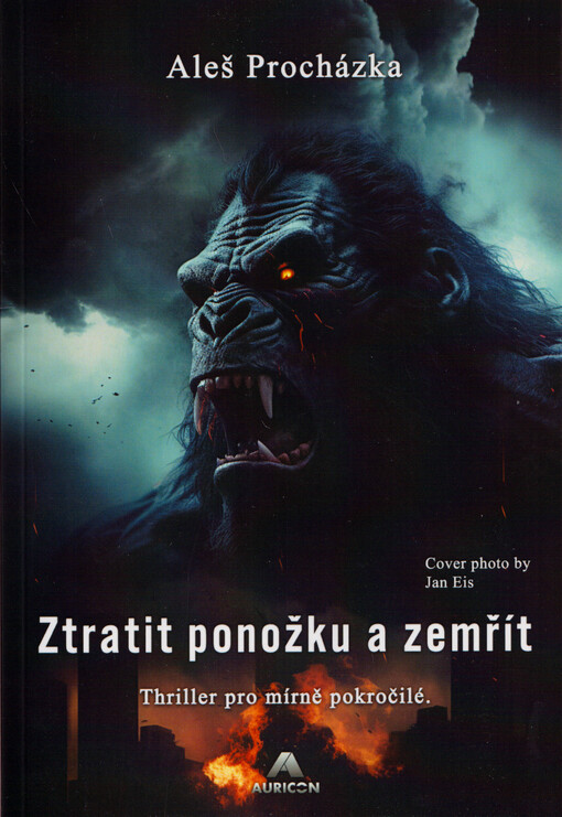 Ztratit ponožku a zemřít : thriller pro mírně pokročilé