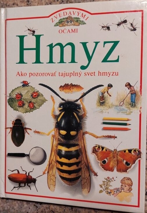 Hmyz - zvedavými očami