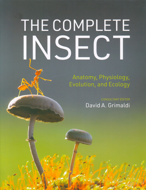 The complete insect : anatomy, physiology, evolution, and ecology