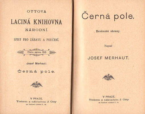 Černá pole : Brněnské obrazy