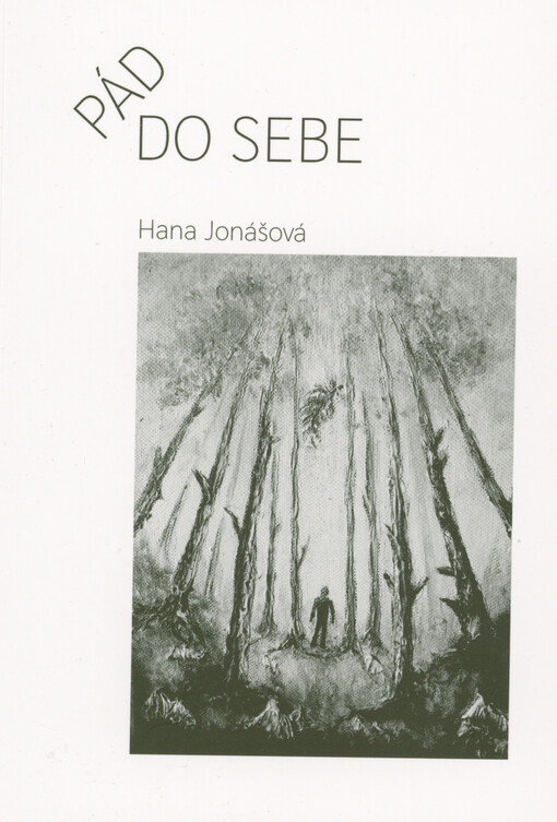 Pád do sebe
