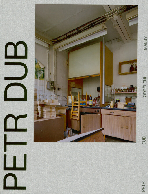 Petr Dub : oddělení malby