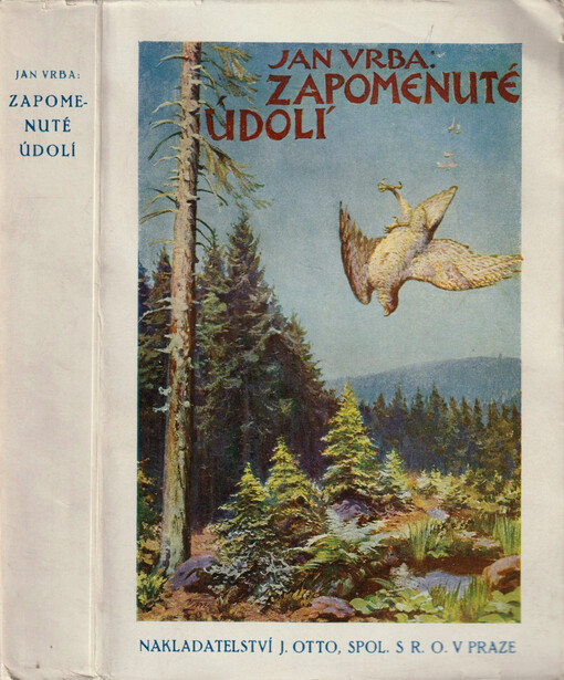 Zapomenuté údolí :román