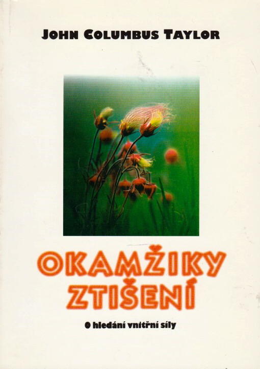 Okamžiky ztišení : o hledání vnitřní síly