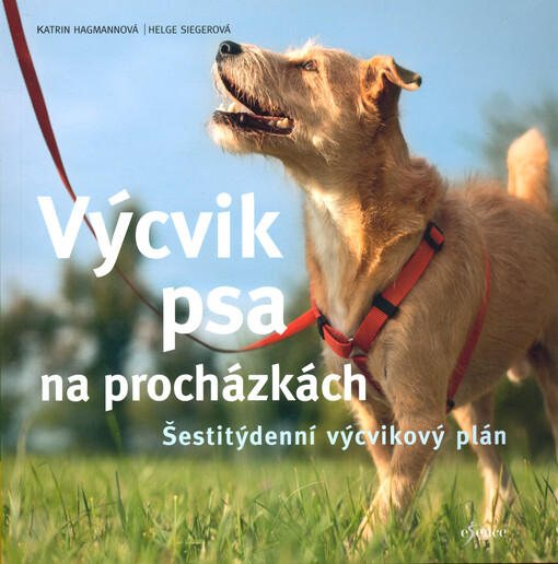 Výcvik psa na procházkách