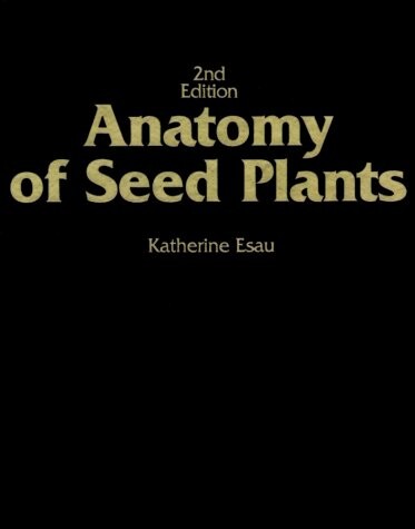Anatomy of seed plants