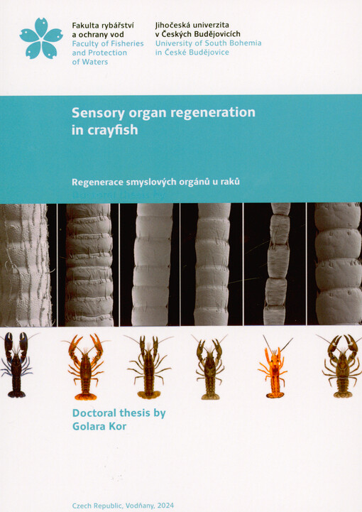 Sensory organ regeneration in crayfish = Regenerace smyslových orgánů u raků