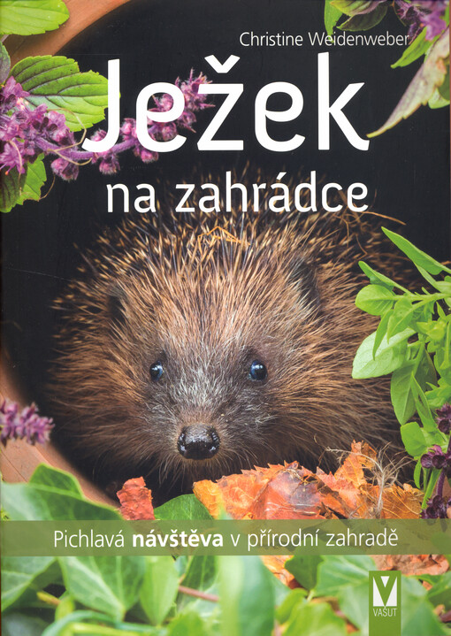 Ježek na zahrádce : pichlavá návštěva v přírodní zahradě