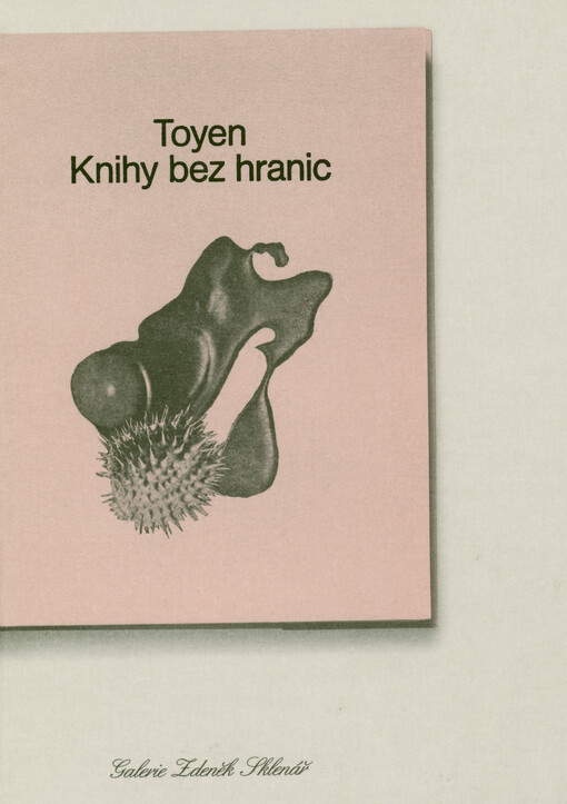 Toyen : knihy bez hranic