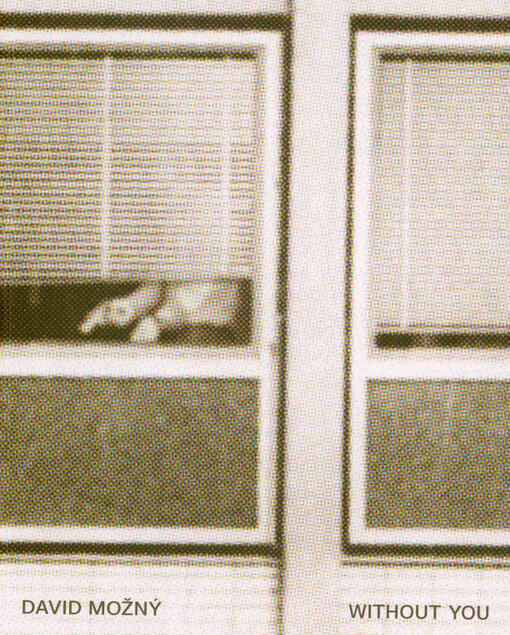 David Možný : without you : 23.02.-26.05.2024 Galerie moderního umění v Roudnici nad Labem