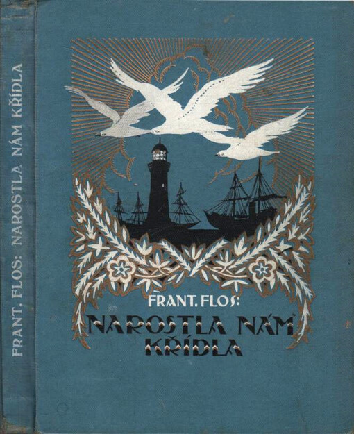 Narostla nám křídla : povídka ze života