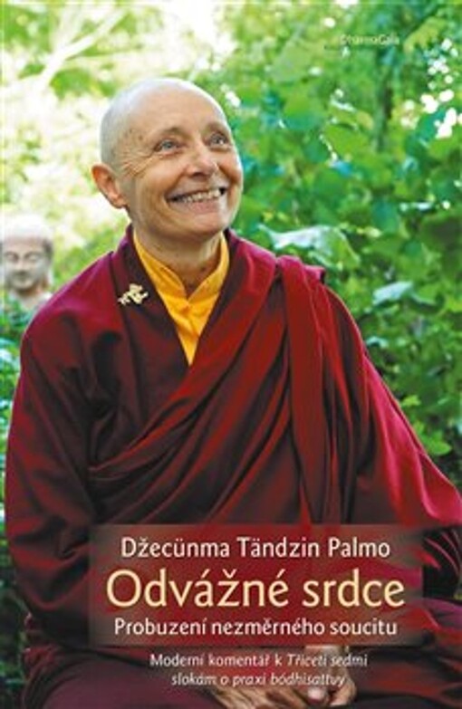 Odvážné srdce : probuzení nezměrného soucitu : moderní komentář k Třiceti sedmi slokám o praxi bódhisattvy od Gjalsä Ngulčhu Thogmeho