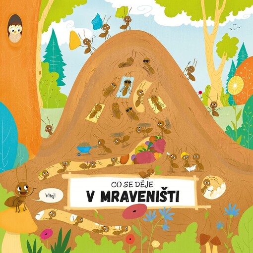 Co se děje v mraveništi / napsala Petra Bartíková ; ilustrovala Magdalena Takáčová