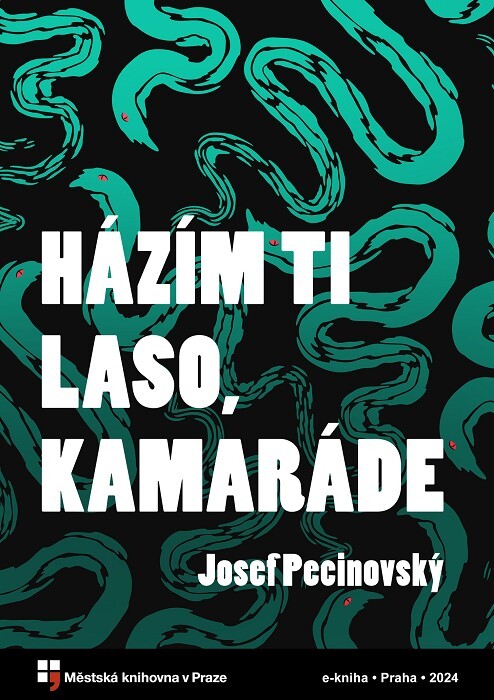 Házím ti laso, kamaráde