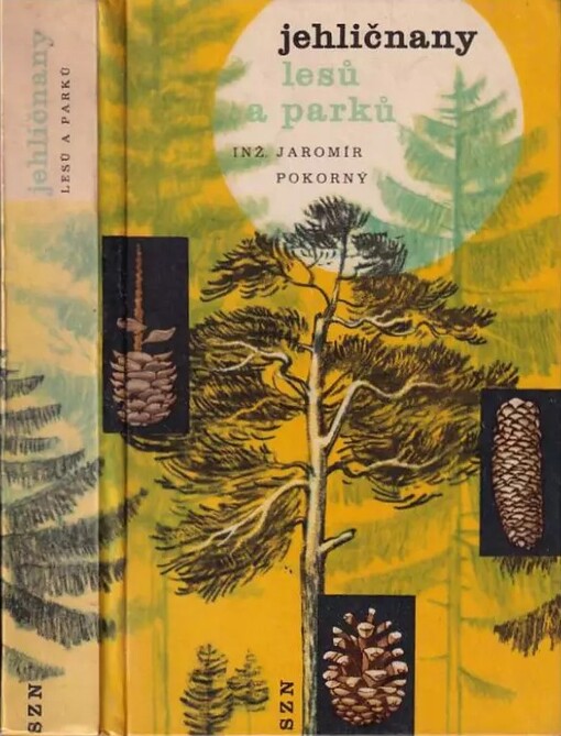 Jehličnany lesů a parků