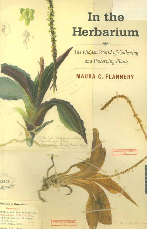 In the herbarium : the hidden world of collecting and preserving plants