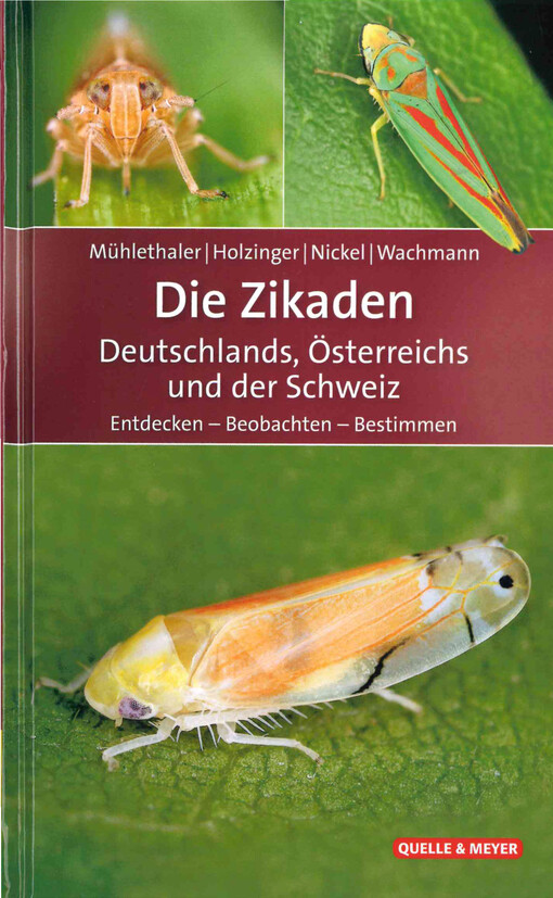 Die Zikaden Deutschlands, Österreichs und der Schweiz