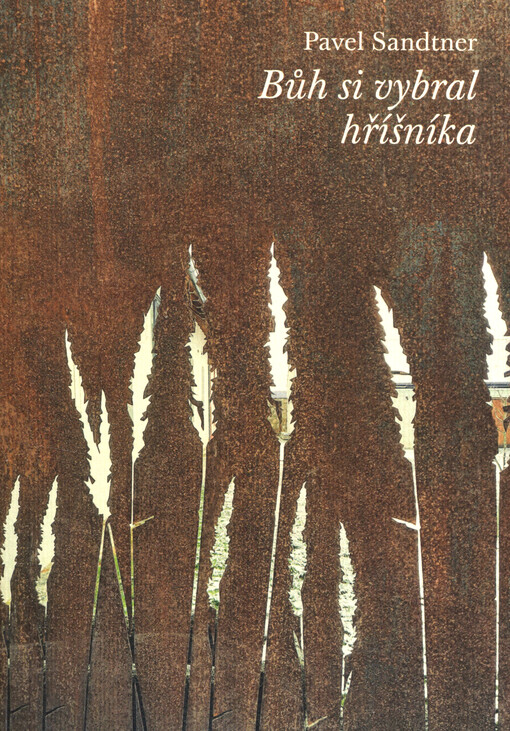 Bůh si vybral hříšníka