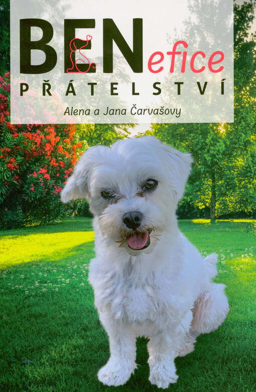 BENefice přátelství