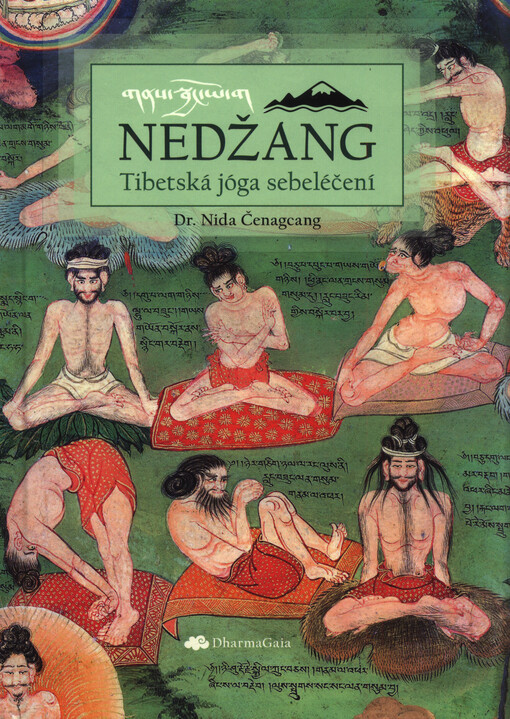 Nedžang = Gnas-sbyangs : tibetská jóga sebeléčení