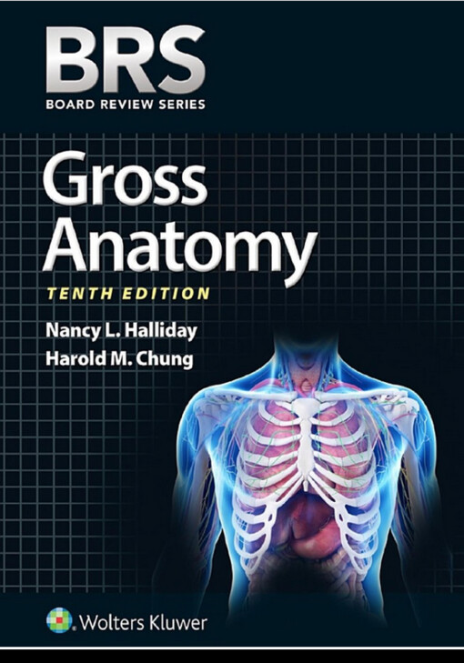 BRS gross anatomy