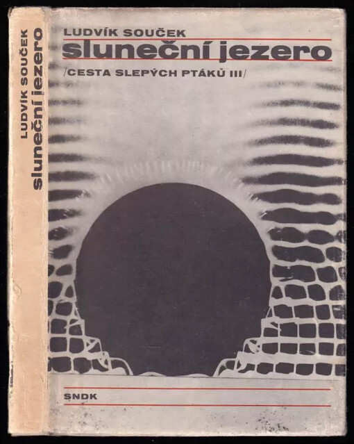 Sluneční jezero :(Cesta slepých ptáků.3. díl)