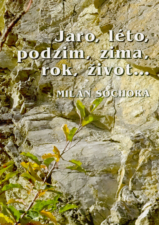 Jaro, léto, podzim, zima, rok, život...