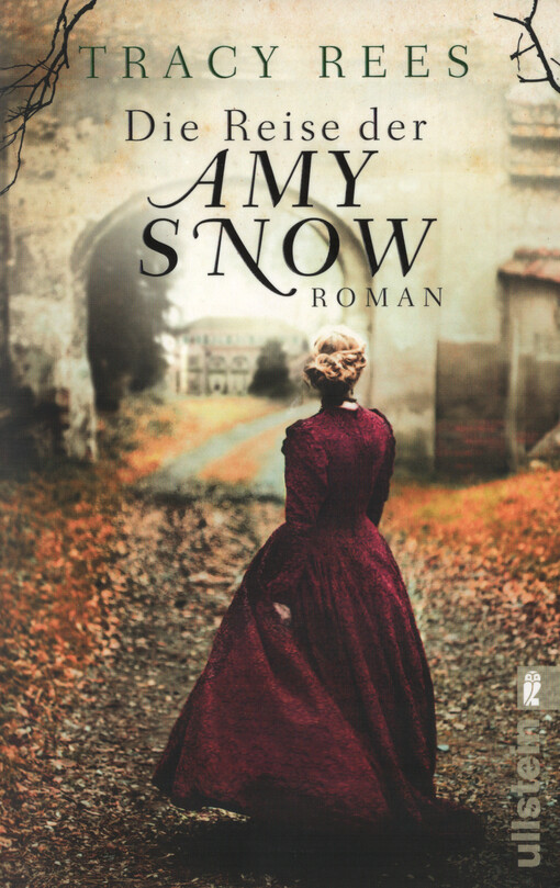 Die Reise der Amy Snow : Roman