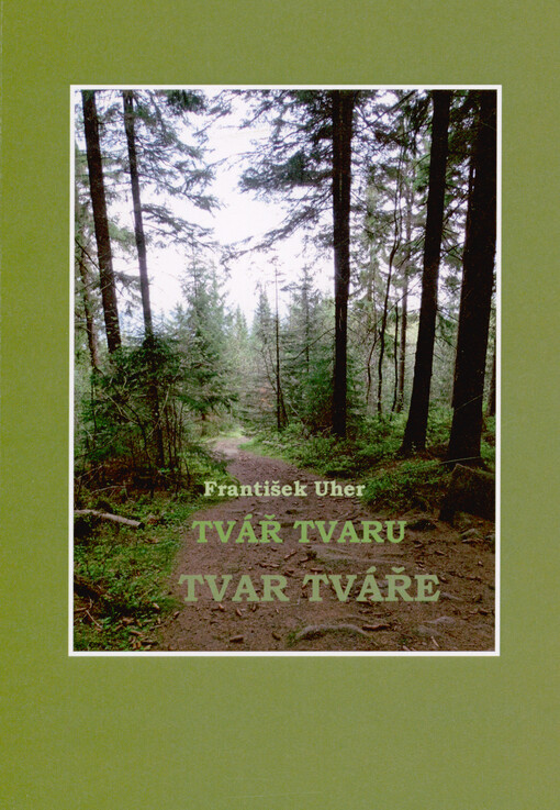 Tvář tvaru tvar tváře