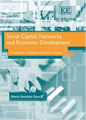 Social Capital, Networks And Economic Development: An Analysis of Regional Productive Systems