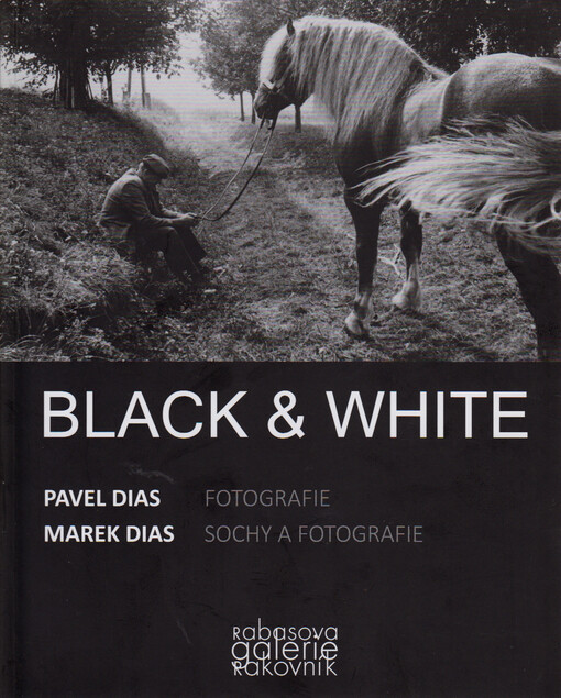 Black & white : Pavel Dias - fotografie, Marek Dias - sochy a fotografie