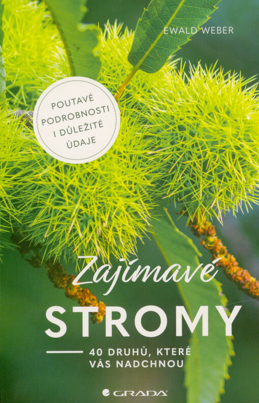 Zajímavé stromy : 40 druhů, které vás nadchnou